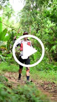 BIB:  <button type="button" onclick="openModal(26822608)" class="btn btn-primary btn-sm float-right" data-toggle="modal" data-target=".modal-high-quality">
                <i class="fa fa-download"></i> Download
                </button>